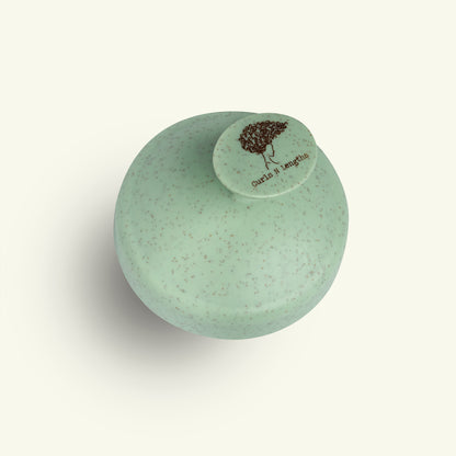 Sustainable shampoo brush that promotes hair growth and relaxation

